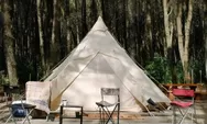 Camping di Jungle Milk Lembang: Mengintip Keindahan Hutan Pinus yang Instagramable