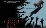 Film Horor Good Boy Rilis di Bioskop, Kisah Seram dari Sudut Pandang Anjing