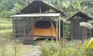 Eksplorasi Alam Seru di Herman Lantang Camp, Tempat Camping Favorit di Bogor