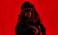 Mengerikan! Trailer Primate Hadirkan Simpanse Pembunuh yang Buat Merinding