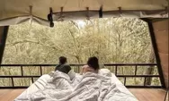Glamping Songgo Langit: Sensasi Kemah Mewah di Tengah Hutan Pinus Mangunan