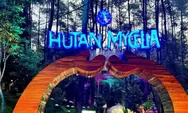 Hutan Mycelia Cikole: Perpaduan Alam, Seni, dan Fantasi dengan HTM Rp50.000