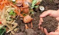 Cara Membuat Pupuk Kompos Sendiri dari Limbah Rumah Tangga