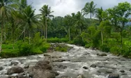 Pesona Cadas Ngampar: Surga Alami di Kaki Gunung Sawah