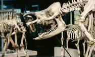 Cuma 15 Ribu, Wisata Edukasi Museum Zoologi Worth It Dikunjungi Bareng si Kecil