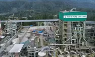 Mengenal Pemilik PT Toba Pulp Lestari, Di Balik Tuduhan Biang Kerok Banjir Sumatra