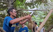Mau Makan Durian Gratis? Ini Cara Dapatkan Kupon Festival Durian Doro Pekalongan