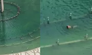 Sempat Viral Soal Pria Berenang di Bundaran HI, Ternyata Bukan Warga Biasa, Ini Kata Satpol PP Jakarta !