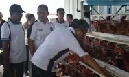 Sekjen Imipas Cek Peternakan Lapas Kendal, Lihat Langsung Produksi Telur Warga Binaan