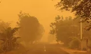 Kabut Asap Masih Meluas, Mengapa Karhutla Belum Berstatus Bencana Nasional?