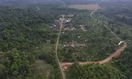 Tanah Ulayat Pascabencana Dikaji, Akademisi Bahas Masa Depan Lumbung Pangan Sumbar