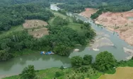 Kapolda Sumbar Berganti, Walhi Soroti PETI dan Illegal Logging yang Tak Kunjung Berhenti