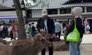 Viral Video WNI Diduga Beri Plastik ke Rusa di Jepang, Begini Klarifikasinya