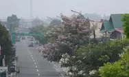 Kabut Asap Pekat, Padang Panjang Perpanjang PJJ hingga 16 Oktober