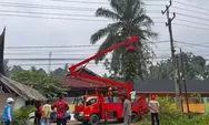 Cegah Pohon Tumbang Timpa Sekolah, BPBD Agam Tebang 3 Pohon di SDN 04 Sikabu