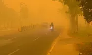 Terjebak Asap Karhutla di Jalan Raya? Ini Langkah Aman untuk Pengendara