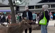 Viral Turis WNI Diduga Beri Plastik ke Rusa di Jepang, Begini Klarifikasinya