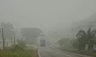 Kualitas Udara Jambi Memburuk, Warga Diimbau Waspadai Dampak Asap