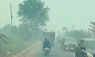 Awas Karhutla! Ini Panduan Aman Berkendara Motor di Tengah Kabut Asap Tebal