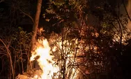 70 Titik Api Masih Membara di Gunung Arjuno-Welirang, Kebakaran Meluas hingga Kota Batu