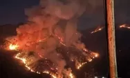 Viral Lereng Gunung Lawu Menyala Merah, Api Karhutla Mulai Dekati Jalur Pendakian