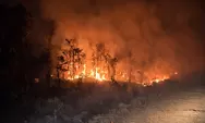 3 Hari Padamkan Api Karhutla, Warga Papua Hadapi Ancaman di Tanah Leluhur