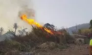Kebakaran Lahan Alang-alang Dekat Permukiman di Cimalaka, Damkar Sumedang Berhasil Padamkan