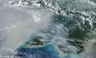 NASA Pantau Karhutla Papua dari Satelit, Emisi Karbon Tembus 35 Juta Ton