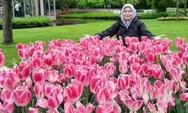Dosen Unissula Semarang Saksikan Indahnya Hamparan Tulip di Taman Bunga Keukenhof Amesterdam Belanda