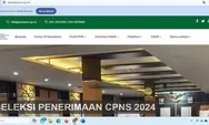 Info CPNS 2024 : Pastikan Akses Situs yang Benar, Jangan Terjebak Hoaks dengan Cek Website Resmi CPNS Sebelum Mendaftar