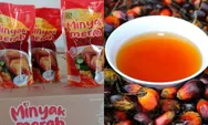 Wah wah Keren nih! Benarkah Presiden Jokowi Resmikan Minyak Makan Merah, Produksi Pertama di Indonesia?