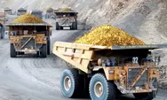 Soal Izin Tambang Emas Diberikan Kepada Ormas, Majelis Hukum Muhammadiyah: Langgar UU Minerba dan Rawan Korupsi