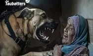 Potret Tentara Israel Lepaskan Anjing untuk Serang Nenek di Kampung Pengungsian Gaza, Netizen: Dasar Biadab