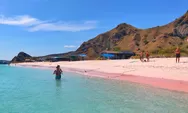 Menikmati Keindahan Pink Beach di Labuan Bajo NTT, Hanya Ada 7 di Dunia