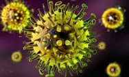 Heboh Wabah Hantavirus di Kapal Pesiar MV Hondius, WHO Sebut Risiko Rendah