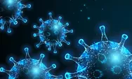 Afrika CDC Ungkap Lonjakan Kematian Kasus Wabah Ebola di Kongo Timur, 65 Orang Tewas