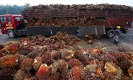 Wacana Plastik dari CPO Bikin Pelaku Usaha Mamin Deg-degan, Lebih Mahal atau Murah? 