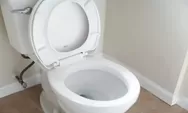 Kebiasaan Main Ponsel di Toilet Bisa Picu Wasir, Dokter Ingatkan Bahaya Duduk Terlalu Lama