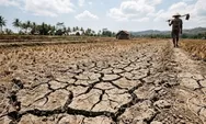 Mendagri Tito Karnavian Minta Kepala Daerah Siaga Hadapi El Nino 2026, Antisipasi Karhutla hingga Krisis Air