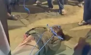 Diduga Curi Ayam Aduan, Pria di Bali Tewas Dikeroyok Massa, Video Tangisan Anaknya Viral