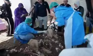 Penyebab Kematian Sutrimo Masih Misterius, Dokter Forensik Tunggu Hasil Laboratorium