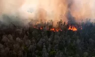 KSAL Tinjau Karhutla Guntung Damar Banjarbaru, Klaim Tak Separah yang Viral