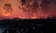 Empat Korporasi di Kalbar Diselidiki Terkait Karhutla, Pemerintah Buka Opsi Cabut Izin