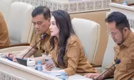 Sherly Tjoanda Curhat 16 Ribu Hektare Tanah Tak Kunjung Beres, Wamen ATR BPN Disindir di DPR