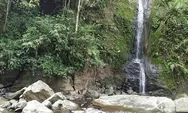 Eksplorasi Keindahan Alam Solok Selatan: Air Terjun Sarasah Batimpo dan Rumah Pohon Taman Laing