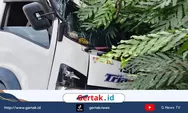 Respon Cepat Polsek Bojong Evakuasi Pohon Tumbang Akibat Laka Tunggal di Sembungjambu