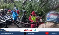 Pekalongan Diterjang Angin Kencang, Polisi dan Tim Gabungan Gercep Evakuasi Pohon Tumbang di Beberapa Kecamatan