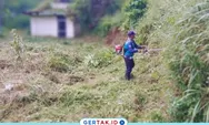 Disperkimtan Kabupaten Bandung Bersihkan Lahan Kosong di Kutawaringin, Cegah Sarang Nyamuk dan DBD