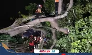BPBD Sampang Evakuasi Tiga Pohon Tumbang di Torjun Usai Diterjang Angin Kencang