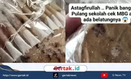 Viral Orang Tua Siswa Ungkap Kondisi Roti MBG Anaknya yang Masih PAUD, Penuh Belatung dari SPPG di Pecangaan Jepara